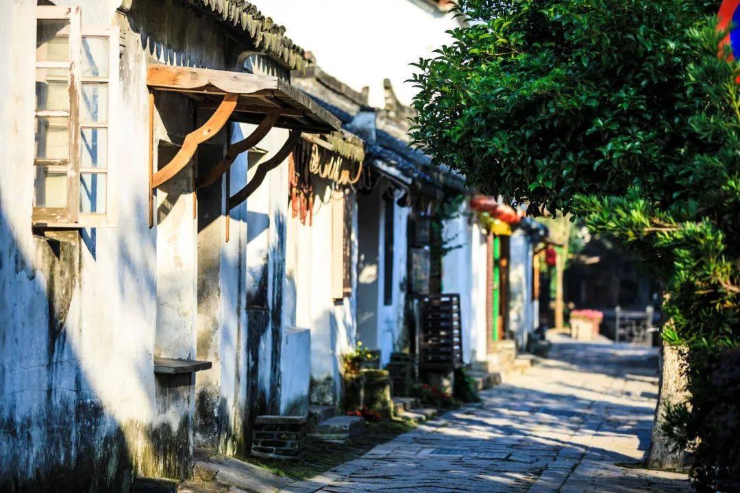 雷竞技比分